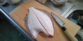 ヒラメ五枚おろし